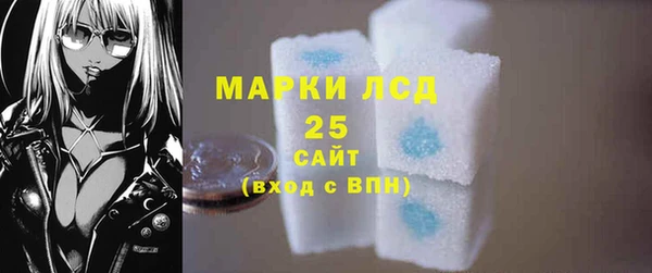 индика Кукмор