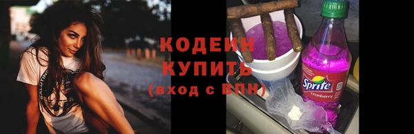 индика Кукмор