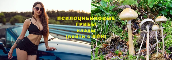 соль курить ск Лагань