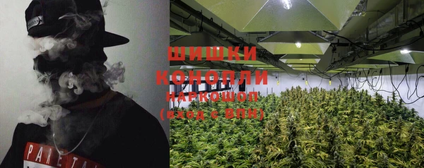 PSILOCYBIN Кулебаки
