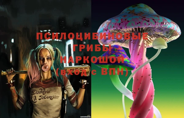 индика Кукмор