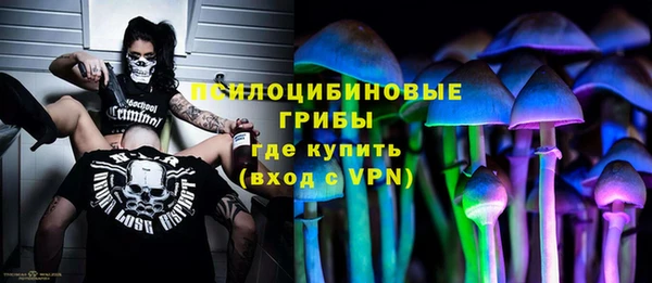 крисы Краснотурьинск