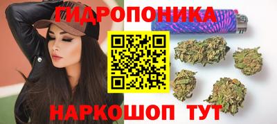 2c-b Лесосибирск