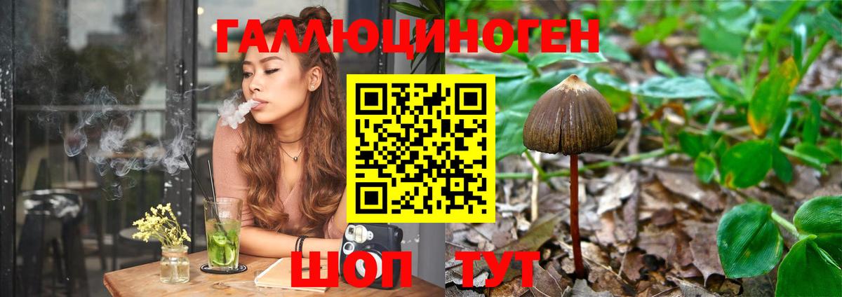 Псилоцибиновые грибы Psilocybe  Вход с VPN  что такое   Галлюциногенные грибы Magic Shrooms  Кропоткин 
